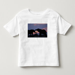 Camiseta De Bebé Botswana, Parque Nacional Chobe, Elefantes