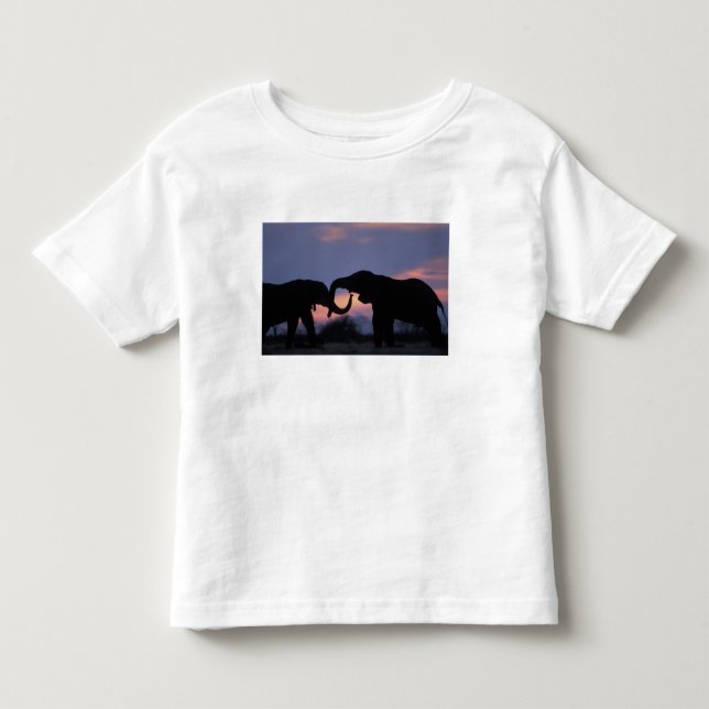 Camiseta De Bebé Botswana, Parque Nacional Chobe, Elefantes (Anverso)
