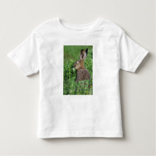Camiseta De Bebé Brown Hare, Lepus europaeus, comida joven,