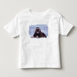 Camiseta De Bebé buey almizclero, Ovibos moschatus, toro joven