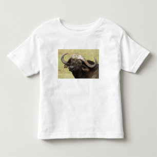 Camiseta De Bebé Búfalo africano, Syncerus caffer