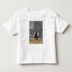 Camiseta De Bebé Bull Elk bugling, Yellowstone NP, Wyoming 2