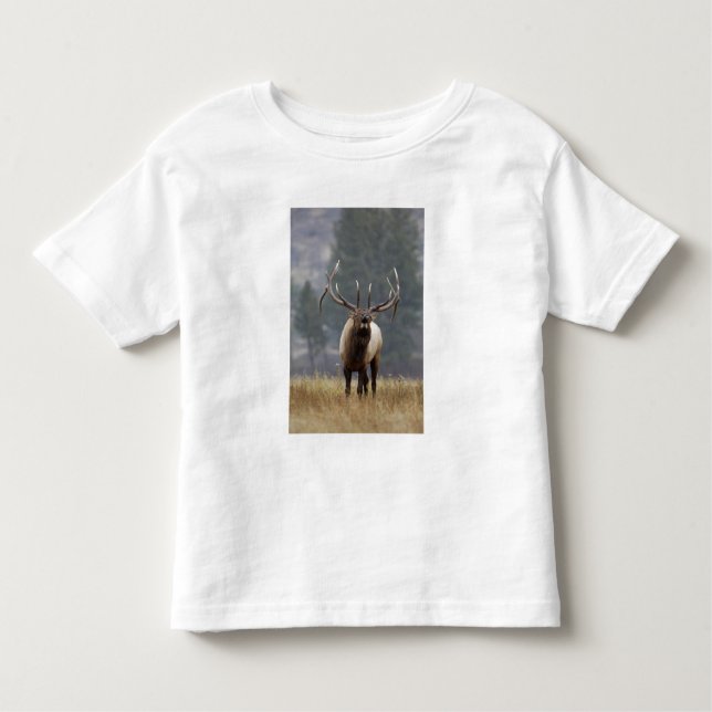Camiseta De Bebé Bull Elk bugling, Yellowstone NP, Wyoming 2 (Anverso)