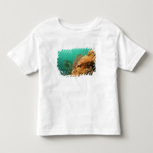 Camiseta De Bebé buzo & pez escorpión Scorpanopsis