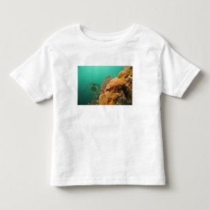 Camiseta De Bebé buzo & pez escorpión Scorpanopsis