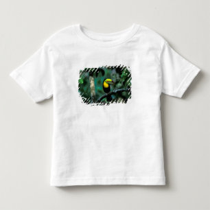 Camiseta De Bebé CA, Panamá, NP Soberanía, Tucán Pico Canoa