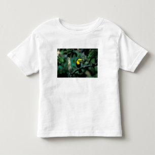 Camiseta De Bebé CA, Panamá, Parque Nacional Soberanía, Tucán Pico