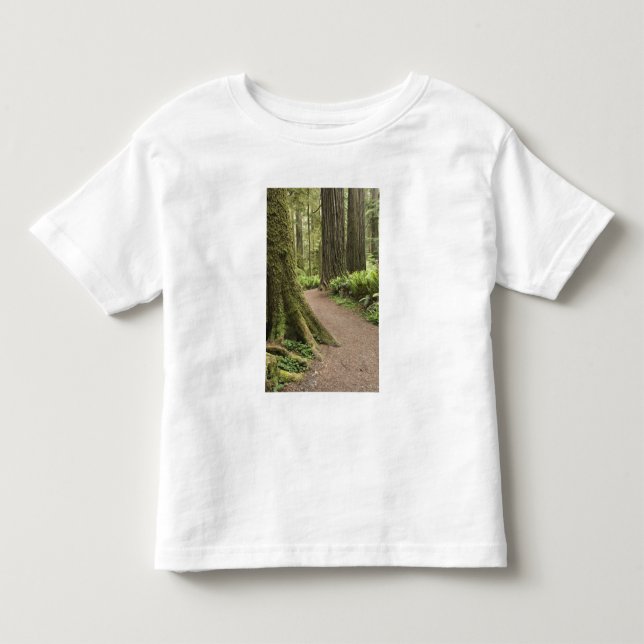 Camiseta De Bebé CA, Parque Estatal Jedediah Smith, Simpson-Reed (Anverso)