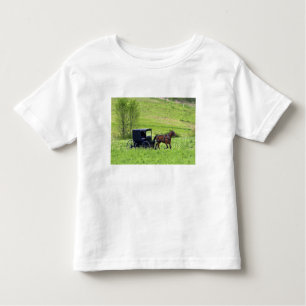 Camiseta De Bebé Caballo y buggy Amish cerca de Berlín, Ohio.