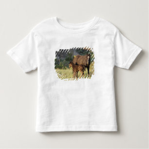 Camiseta De Bebé Caballos salvajes en el Parque Nacional Theodore R
