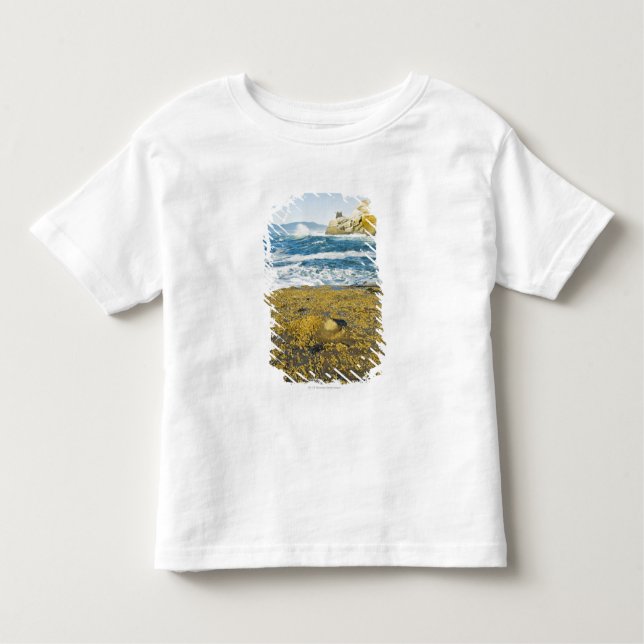 Camiseta De Bebé Cabo Kiwanda y el Océano Pacífico (Anverso)