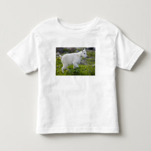 Camiseta De Bebé Cabra montés joven en Logan Pass en Glacier