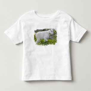 Camiseta De Bebé Cabra montés joven en Logan Pass en Glacier