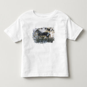 Camiseta De Bebé Cabra o Chamois, pintura rocosa en la habitación 
