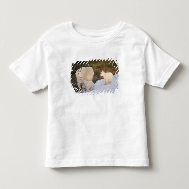 Camiseta De Bebé cabras de montaña (Anverso)
