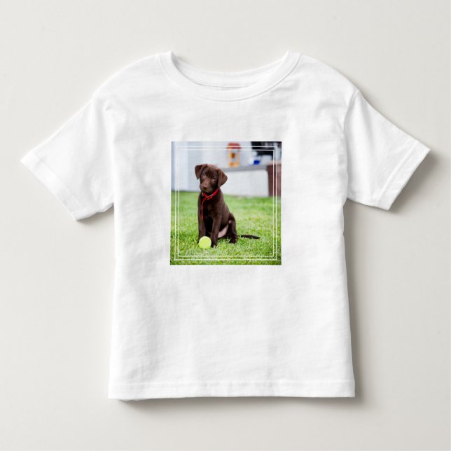 Camiseta De Bebé Cachorro de chocolate con bola de tenis (Anverso)
