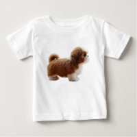 Cachorro de raza Shih Tzu aislado