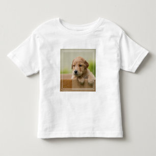 Camiseta De Bebé Cachorro de recuperación de oro en caja