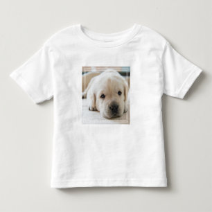 Camiseta De Bebé Cachorro dorado dorado