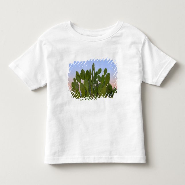 Camiseta De Bebé Cacti y sisal en el bosque seco (Anverso)