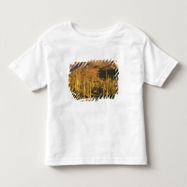 Camiseta De Bebé Cactus de Saguaro en el Parque Nacional de Saguaro (Anverso)