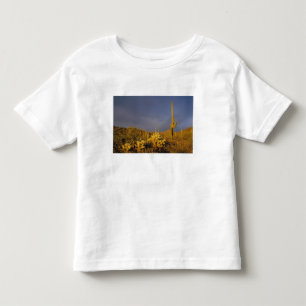 Camiseta De Bebé cactus saguaro, Carnegiea gigantea, y teddy