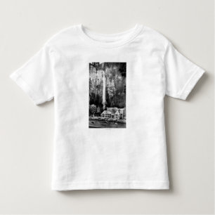 Camiseta De Bebé Caídas de Multnomah y fotografía de la casa de