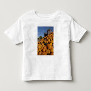 Camiseta De Bebé Calabazas en granja en otoño cerca de Concord,