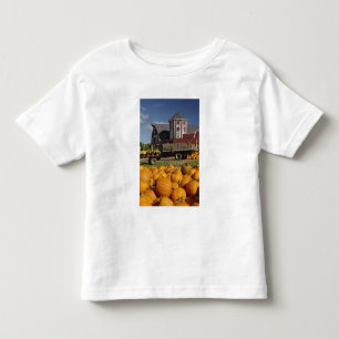 Camiseta De Bebé Calabazas en granja en otoño cerca de Concord, 2