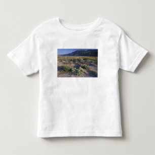 Camiseta De Bebé California, Desierto Anza-Borrego SP, Arena