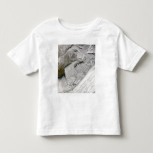 Camiseta De Bebé Calles de la nube de Nueva Inglaterra y del