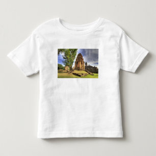 Camiseta De Bebé Camboya, Angkor Wat. Vista del Templo Bakong.