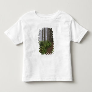 Camiseta De Bebé Camino a través de los árboles de secuoya gigante 