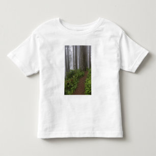 Camiseta De Bebé Camino a través de los árboles de secuoya gigante 