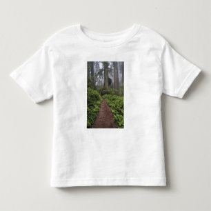 Camiseta De Bebé Camino a través de los árboles de secuoya gigante