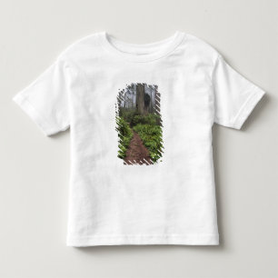 Camiseta De Bebé Camino a través de los gigantescos árboles de se