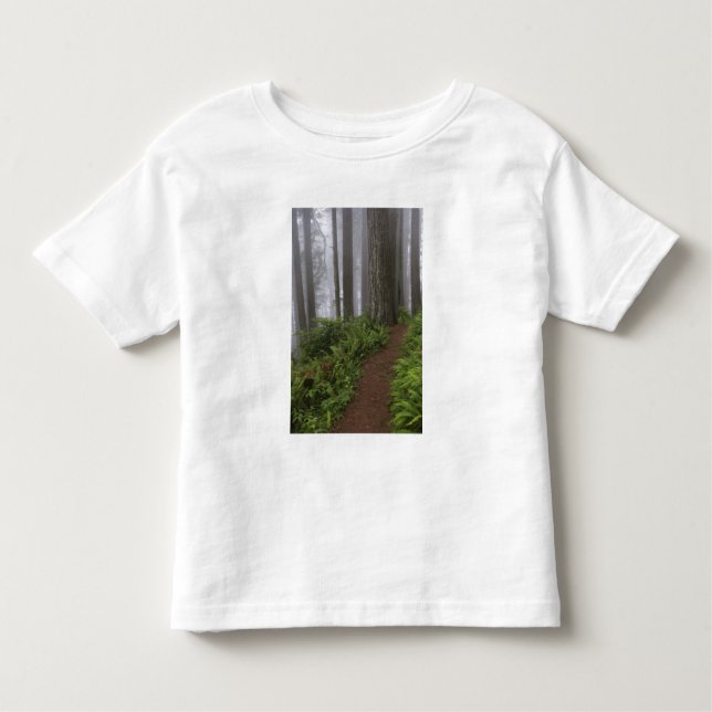 Camiseta De Bebé Camino a través de los gigantescos árboles de secu (Anverso)