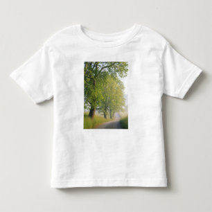 Camiseta De Bebé camino cubierto de niebla, Cades Cove, Great Smoky