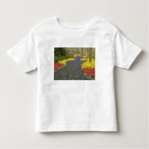 Camiseta De Bebé Camino de Hiacinth de la Uva, daffodils, y