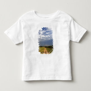 Camiseta De Bebé Camino de tierra primitivo a través del norte