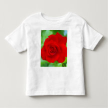 Camisas Rojas