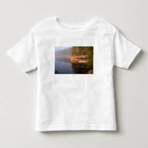 Camiseta De Bebé Camping de canoa brumoso, lago Kawnipi,