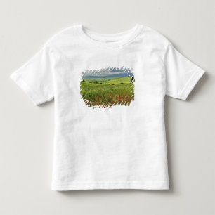 Camiseta De Bebé Campo agrícola, región de Toscana, Italia.