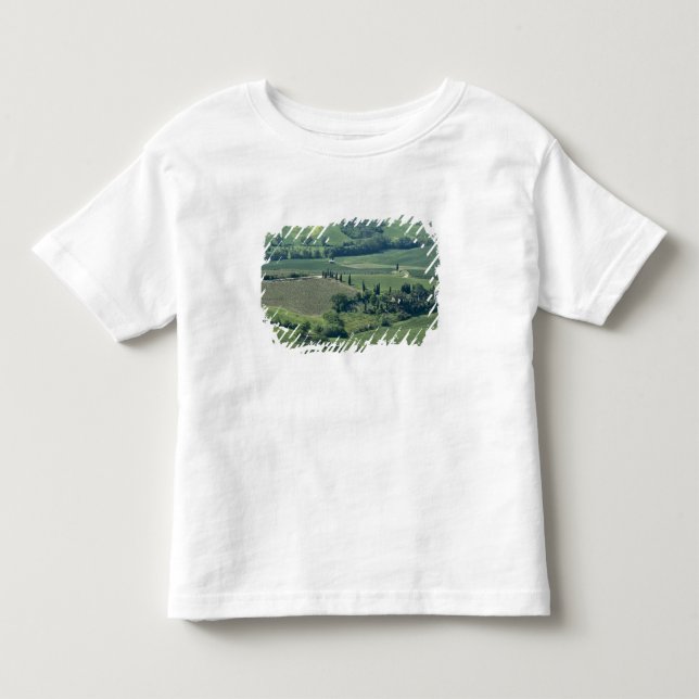 Camiseta De Bebé Campo cerca de Montepulciano, Val d'Orcia, (Anverso)