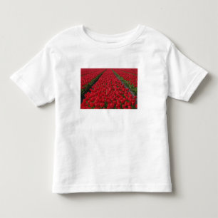Camiseta De Bebé Campo de flores de tulipanes, Países Bajos, Holand
