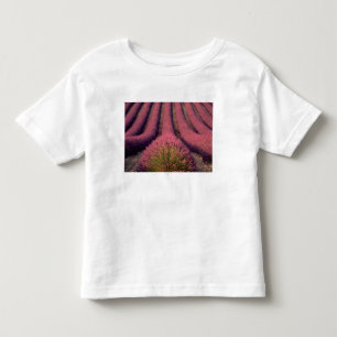 Camiseta De Bebé Campo de lavanda en Alta Provenza, Francia 2