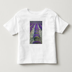 Camiseta De Bebé Campo de lavanda, Provenza, Francia