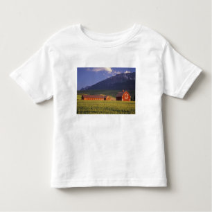 Camiseta De Bebé Campo de trigo en el valle de Wallowa, apenas