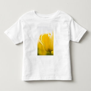 Camiseta De Bebé Campos de tulipán del monte Vernon, condado de Sk