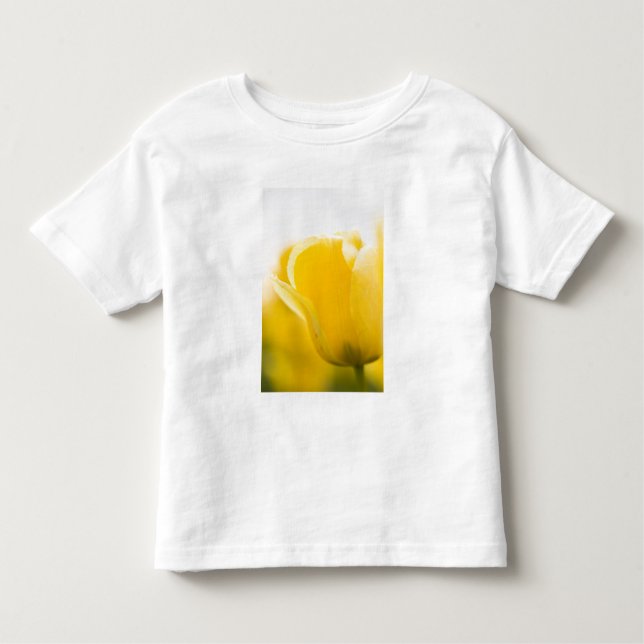Camiseta De Bebé Campos de tulipán del monte Vernon, condado de Ska (Anverso)